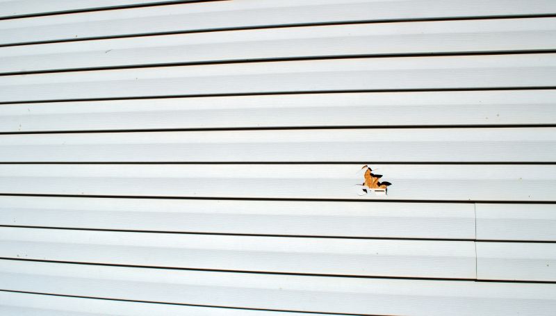 Precision Siding Replacement